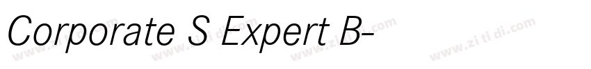 Corporate S Expert B字体转换